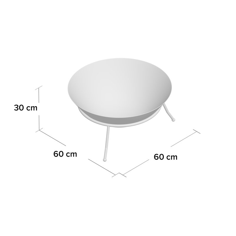 Emrys Cast Iron Bowl with Tubular Steel Stand