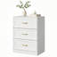 Abrielle White 3-Drawer Chest of Drawers with Gold-Tone Handles