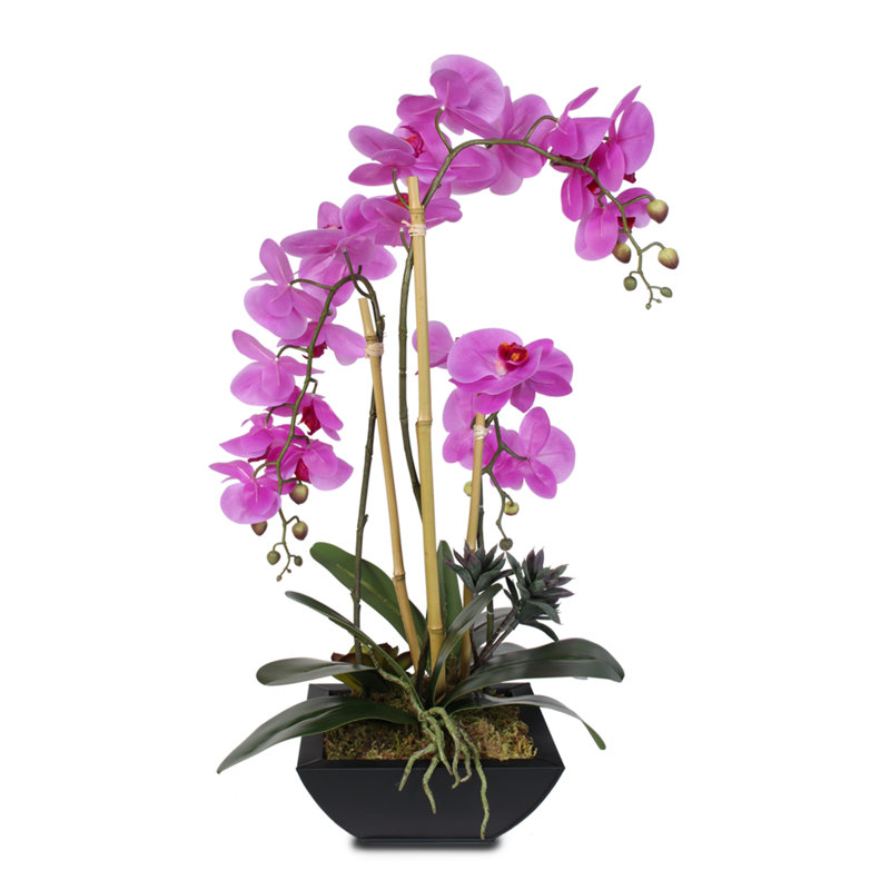 Real Touch Phalaenopsis Silk Orchid Floral Arrangement in Pot