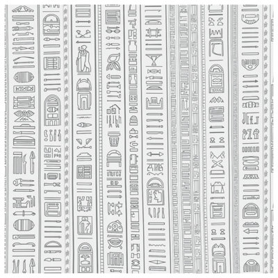 Egyptian Hieroglyphic Symbols Shower Curtains Extra Long
