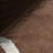  Grace Bordered Wool Area Rug-109241885