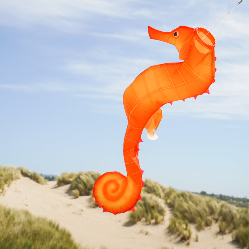 40-Inch Orange Polyester Seahorse 3D Windsock