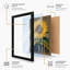Sunflower Study Botanical - Print-245636229-245636233