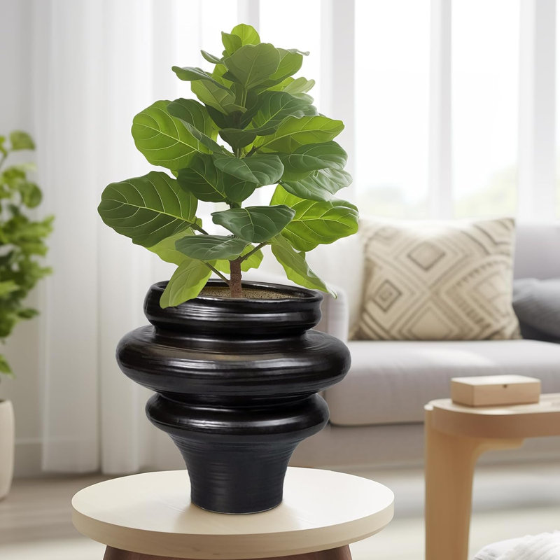11" Black Ceramic Bonsai Planter