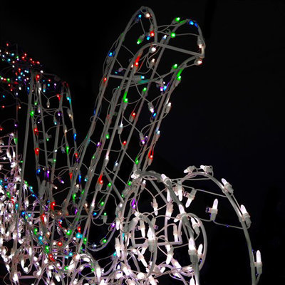 Holiday Lighting