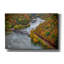 «Hawks Nest Bridge» par Rick Berk, art mural sur toile-1421005202