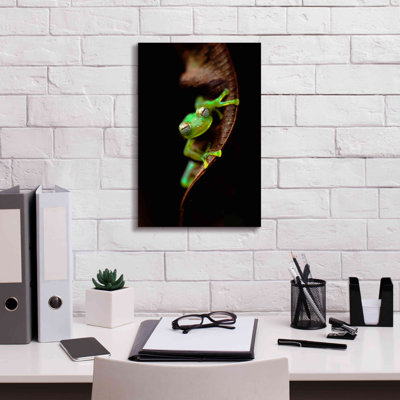 Epic Graffiti 'Frog Portrait' By Thomas Haney, Gic " Frog Portrait " by Thomas Haney