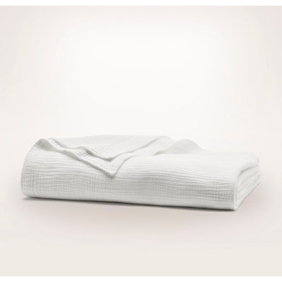 Dream Bed Blanket