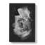 Rose Flower - Wrapped Canvas-56635260