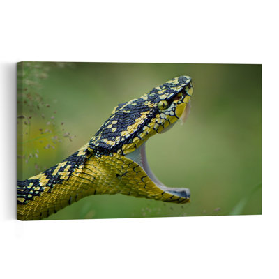Fierce Yellow Viper Contemporary Snake Wall Art Print 1 Piece Wrapped Canvas Wall Art