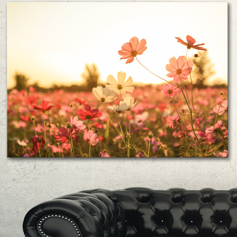 Reproduction de photo sur toile tendue "cosmos florals on coucher de soleil", H 30 po x l 40 po