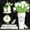 Tulipes et écailles 2886500