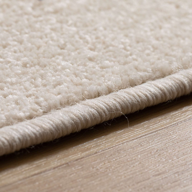 Aspermont Solid Colour Area Rug, Rectangular 40 x 60cm