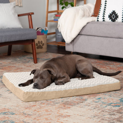 Orthopedic Polyester Pet Bed