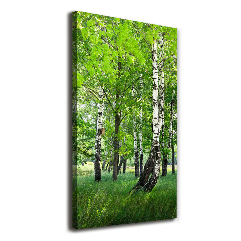 Birch Forest - Wrapped Canvas Print
