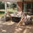 6- Piece Outdoor Patio Furniture Set with Fire Pit Table, All - Weather Wicker, Thick Padded Cushions, Sectional Sofa & Chairs for Garden, Backyard & Patio-1436400936