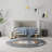 Hanfurd Machine Woven Polypropylene Plastic Rug-1484118680