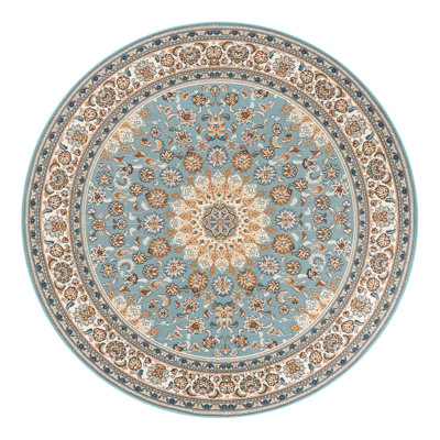 Indoor/Outdoor Traditional Area Rug
