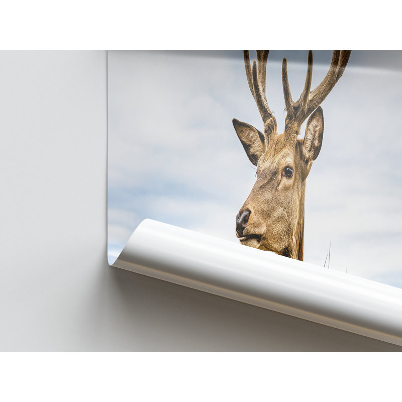 Print on Canvas, 20 cm H x 30 cm W, Wrapped Canvas