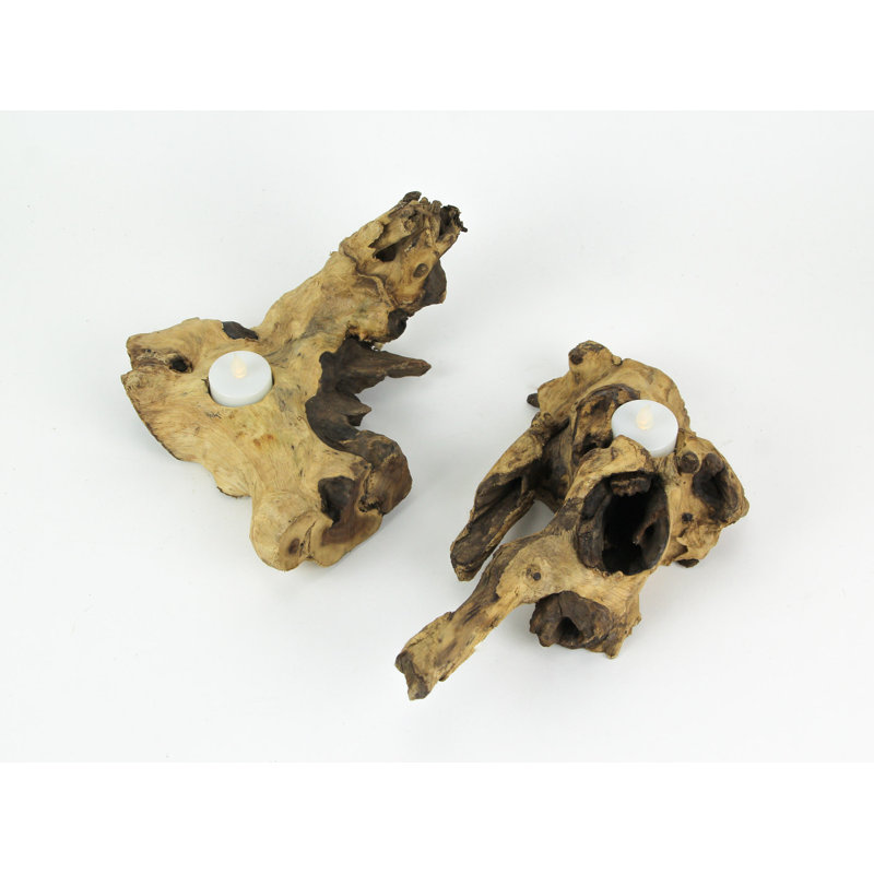 Natural Gamal Root Wood Tealight Candle Holders Set