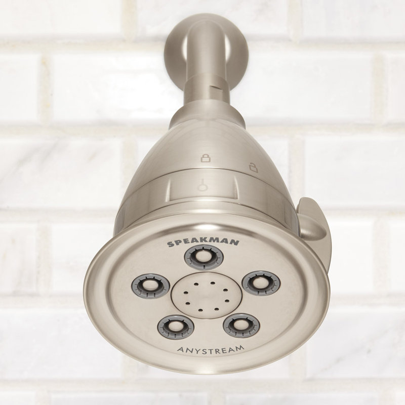 Anystream Pure 2.0 GPM Multi-Function Adjustable Shower Head with Filter, Brushed Nickel