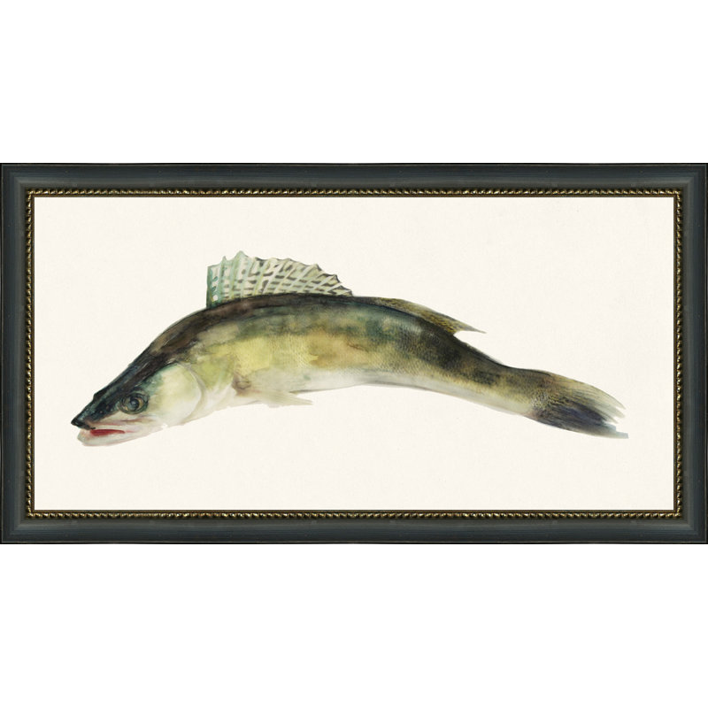 Fresh Catch 3 Print