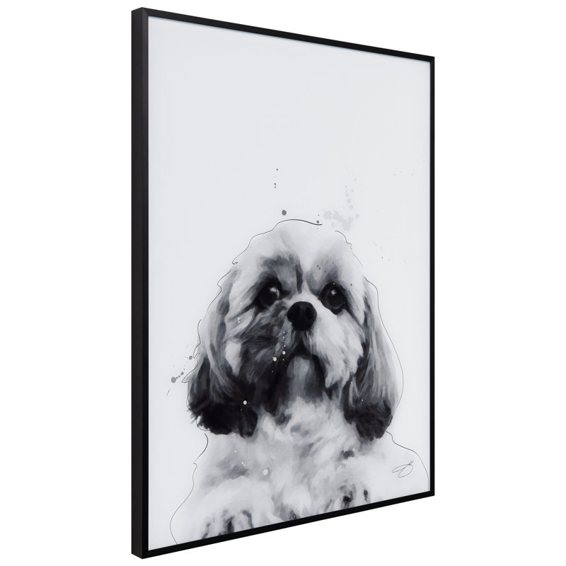 " Shih-Tzu " by Jodi P.