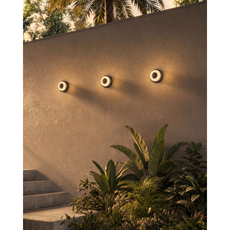 Stephord Outdoor Sconce, Black/Frosted Glass