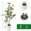 Faux Plant-1468371328