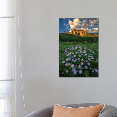 Canyon And Daisies By Mei Xu - Wrapped Canvas Photograph by Mei Xu - Wrapped Canvas Print