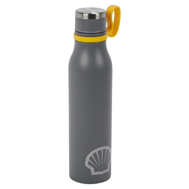 Belfry Kitchen Carlea 500ml Double Wall Insulated Stainless Steel Insulated Bottle