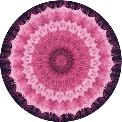 Indoor Rug