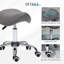 Alpheus Adjustable Height Lab Stool-926463195