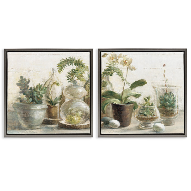 «Succulent House Plants Country Charm», ensemble de 2 toiles flottantes encadrées par Danhui Nai, Cadre flottant gris lustré