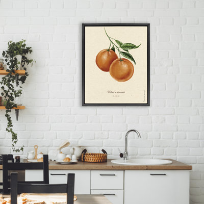 Cadre flottant Orange Fruit Portrait, conception par Danielle Murray