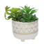 Plante molle artificielle en pot-35758084-35758080