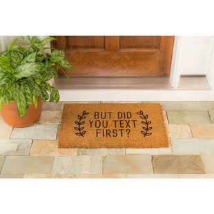 Indoor Doormat Welcome Mat,Front Back Door Mat Floor Mats Non Slip Rubber  Base Mud Dirt Trapper Entrance Door Rug Carpet Low Profile,Entryway Welcome  Doormat,23.6*15.7 Call First 