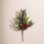 Pine Needle Berry Stems
