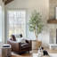 60cm Plant