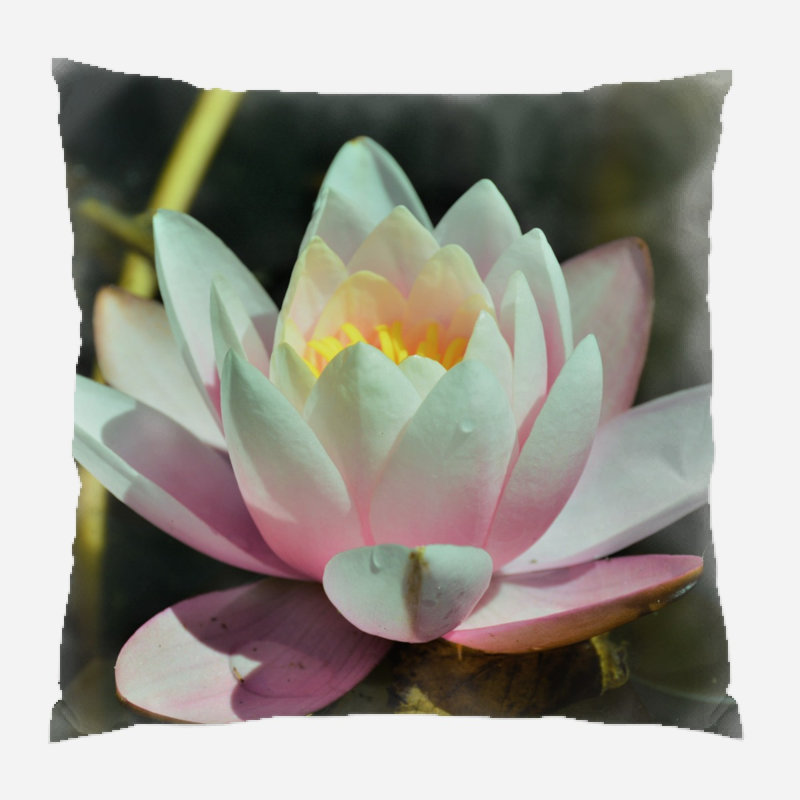 Coussin décoratif fleur Haraway, Microsuède, Intérieur