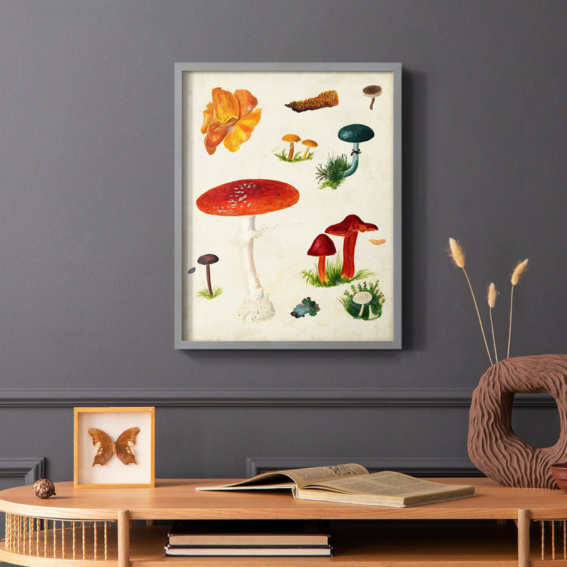 Reproduction encadrée champignon Mushroom Species, H 10 po x l 8 po, Gris
