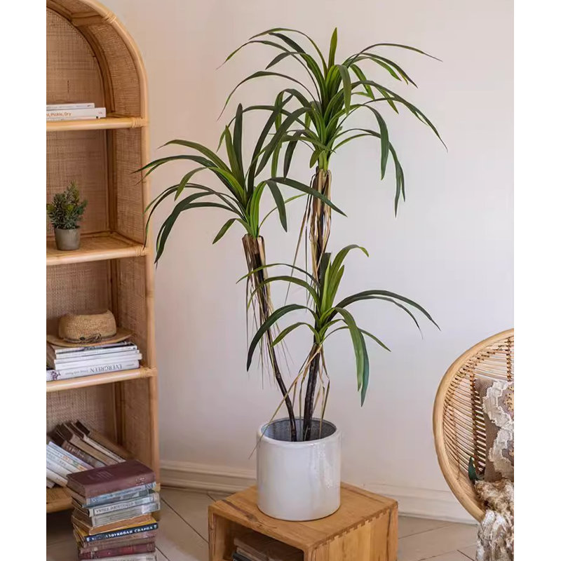 Fausse plante Dracaena, H 47,2 po x l 5,9 po x P 5,9 po