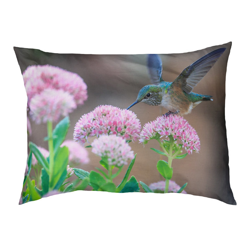 Coussin de concepteur hummingbird Burkhead, L 42 po x l 52 po, Noir