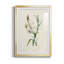 Traditional Botanical IV - reproduction de cadre photo-663053986-663053985