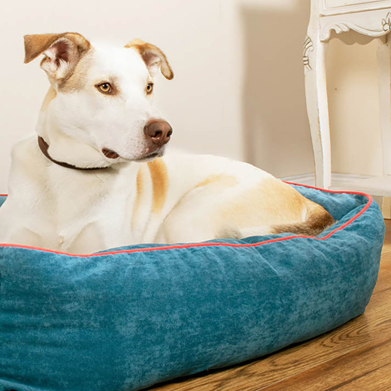 Heller Animal Print Polyester Pet Bed