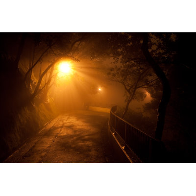 " Street Light Road "
