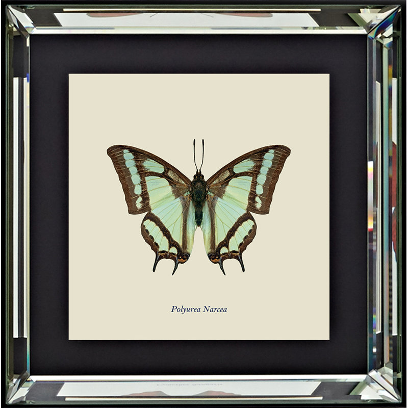 Single Picture Frame Print