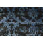Neo Damask Area Rug