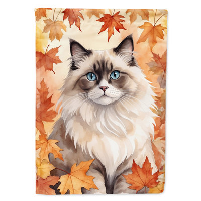 Chat en feuilles d'automne