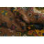 Tapis traditionnel brun en laine brun Kazak 8 x 10